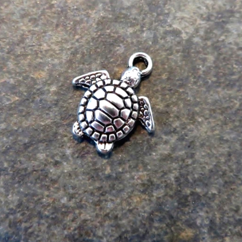 Jewelry charm 🐢